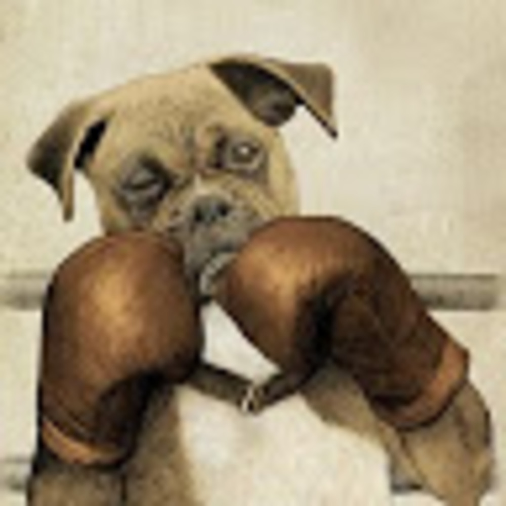 Meet your Posher, Jayda